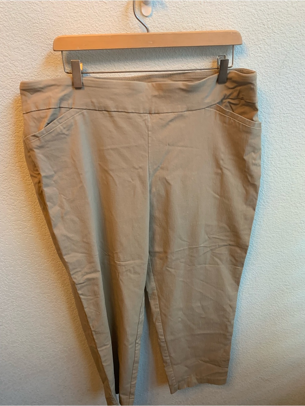 Terra & Sky Slim Pull-On Cropped Pants in Taupe